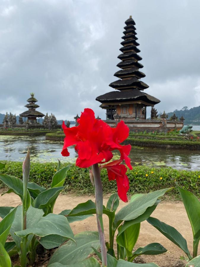 Wina Ubud B&B المظهر الخارجي الصورة