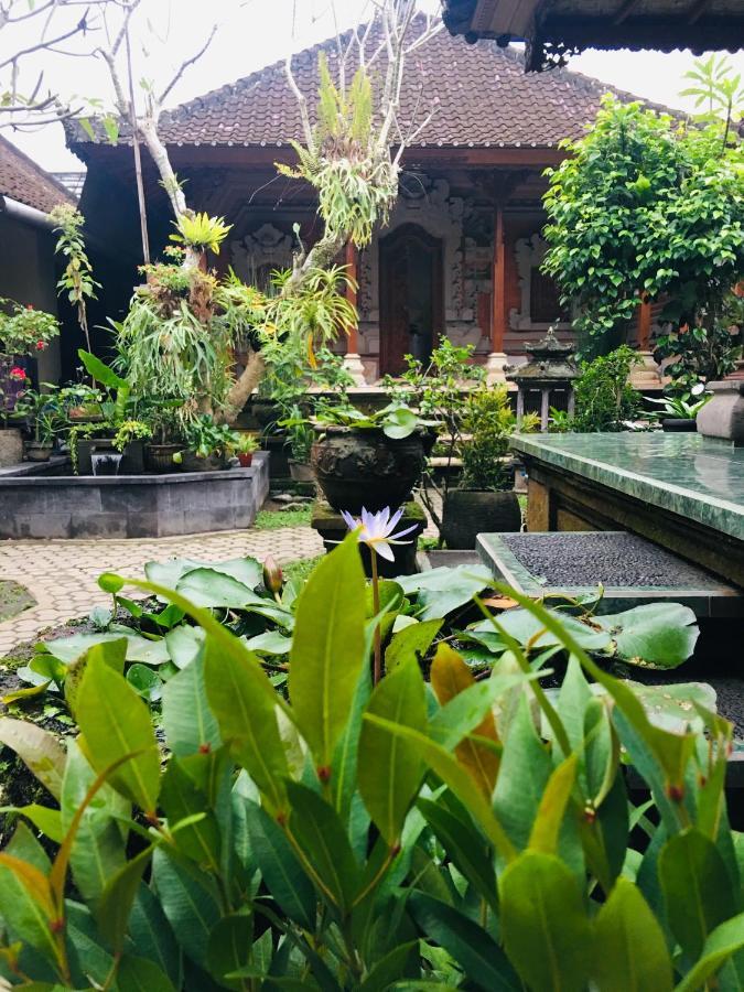 Wina Ubud B&B المظهر الخارجي الصورة